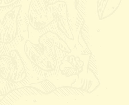 Author left drawn food background image